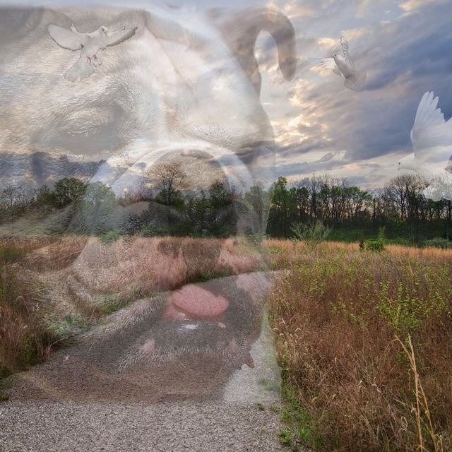 Photo Jan 27, 6 40 10 PM